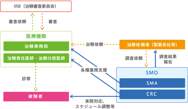 SMO相関図